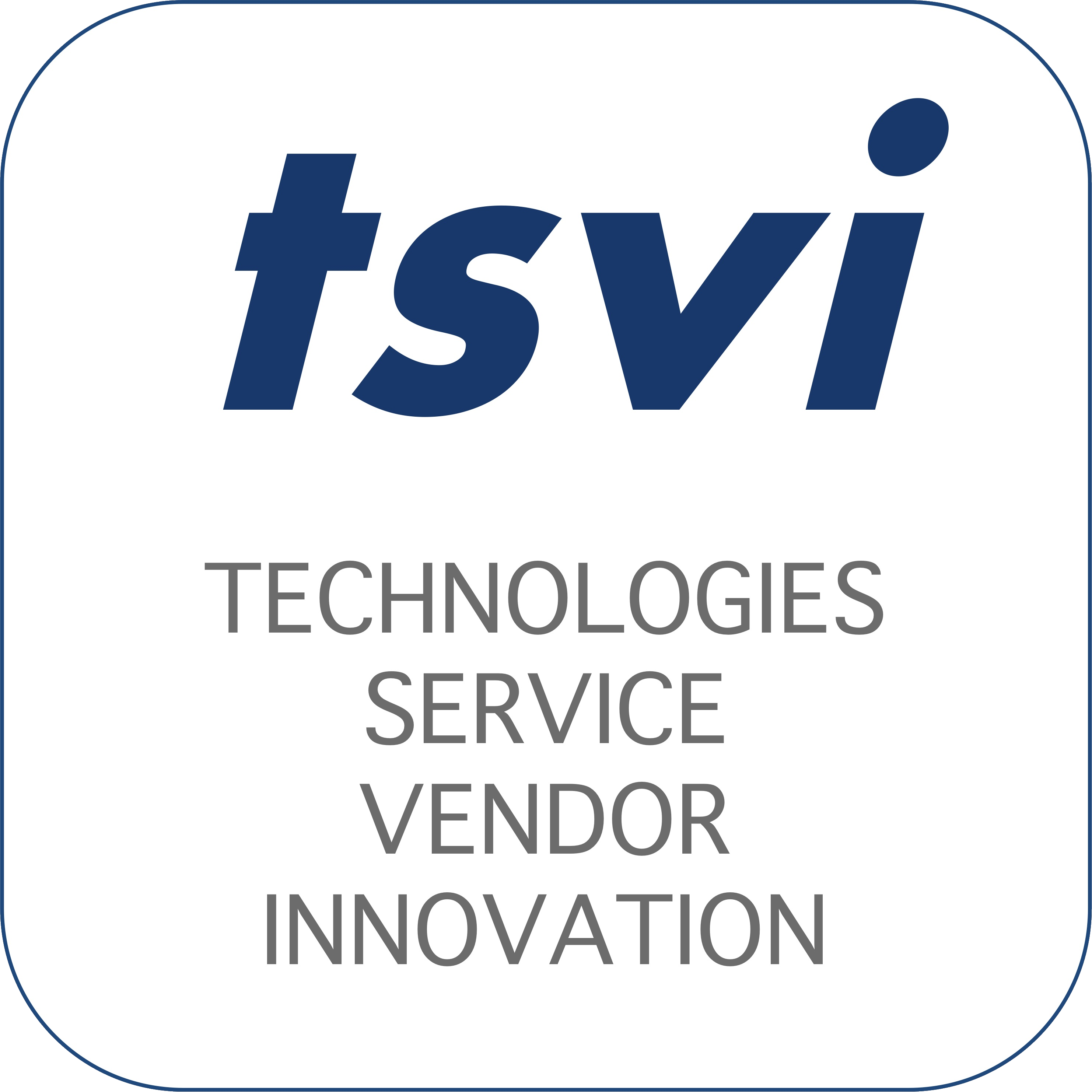 TSVI GROUP