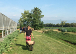 Studente Settore Agricolo Engim Veneto Vicenza