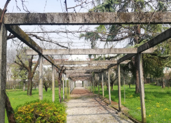 Studenti Settore Agricolo Engim Veneto Vicenza