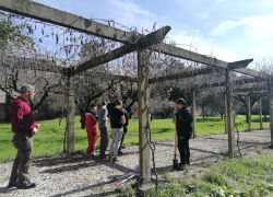 Studenti Settore Agricolo Engim Veneto Vicenza