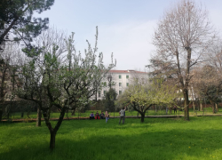 Studenti Settore Agricolo Engim Veneto Vicenza
