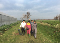 Studenti Settore Agricolo Engim Veneto Vicenza