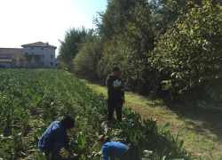 Studenti Settore Agricolo Engim Veneto Vicenza