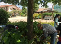 Studenti Settore Agricolo Engim Veneto Vicenza