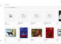 creative cloud  assets